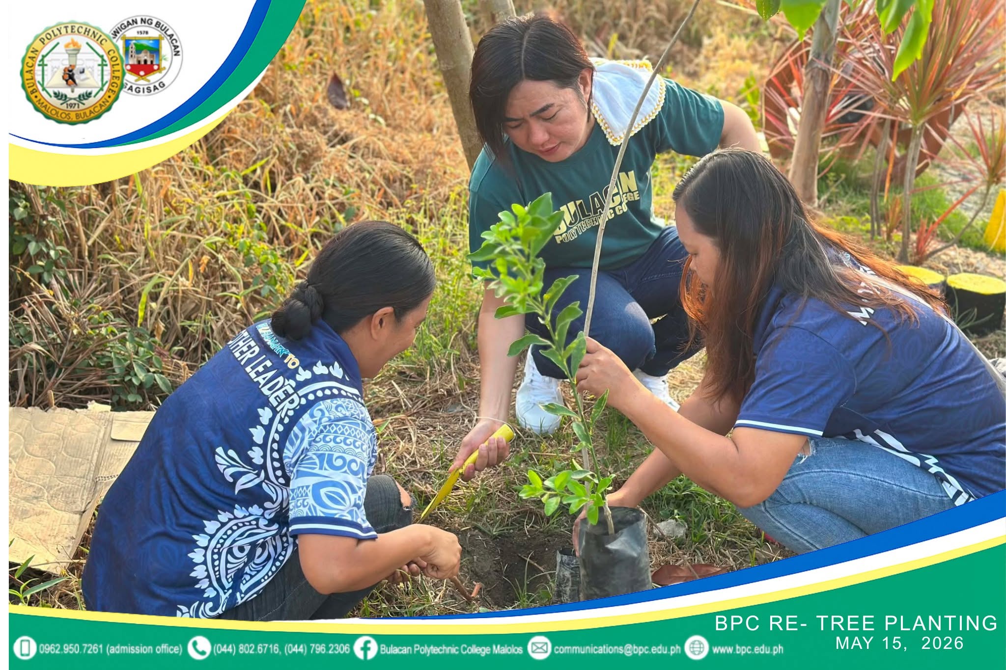 tree-planting